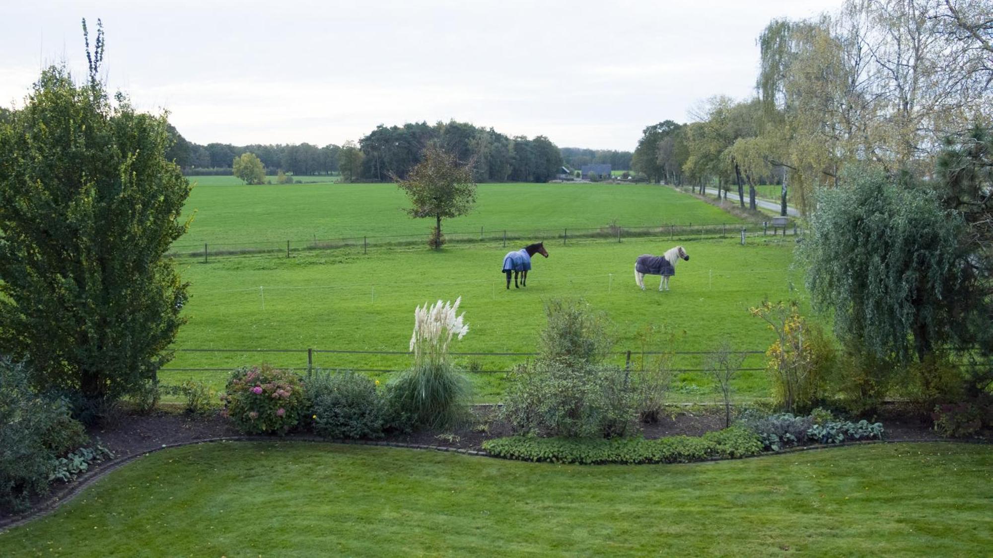 Oostendorp